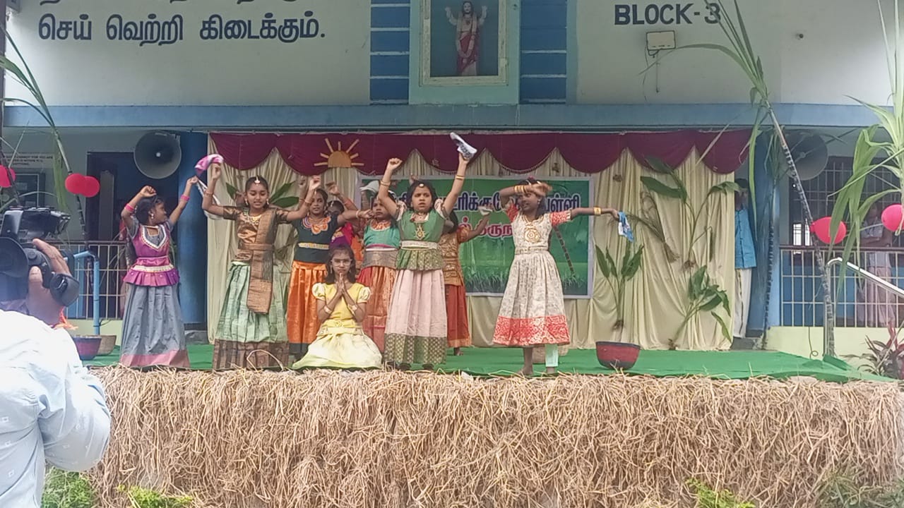 Pongal Celebration 2024